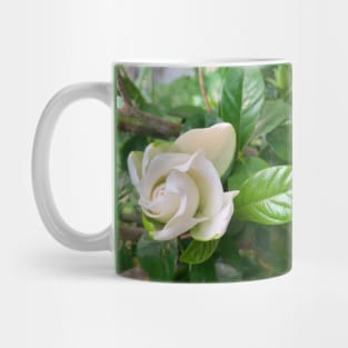 Gardenia flower Mug